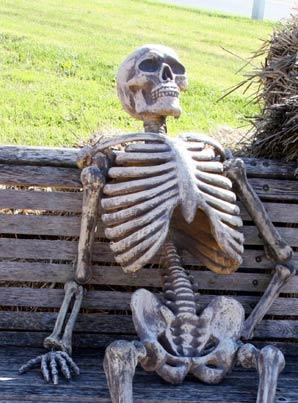 Waiting-Skeleton.jpg.b031fc74b88f4fe2a0ea44e4a7936db8.jpg