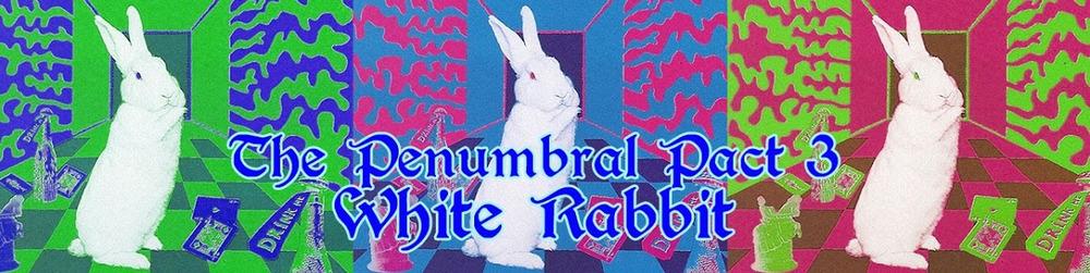 banner, white rabbit.jpg