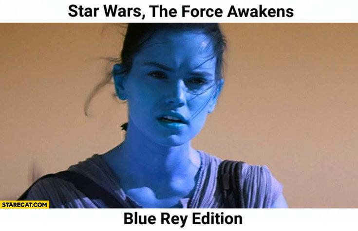 blue rey.jpg