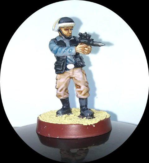 fleet troopers sm.jpg