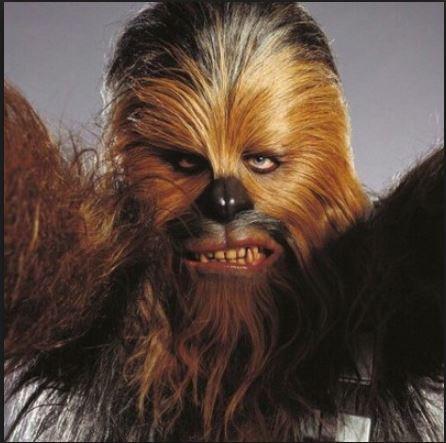 Chewie.JPG