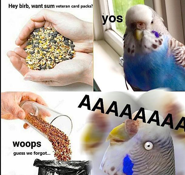 794871358_veterancardpacks.jpg.f3480f3bb1f9a5aa169991d80f85c23d.jpg
