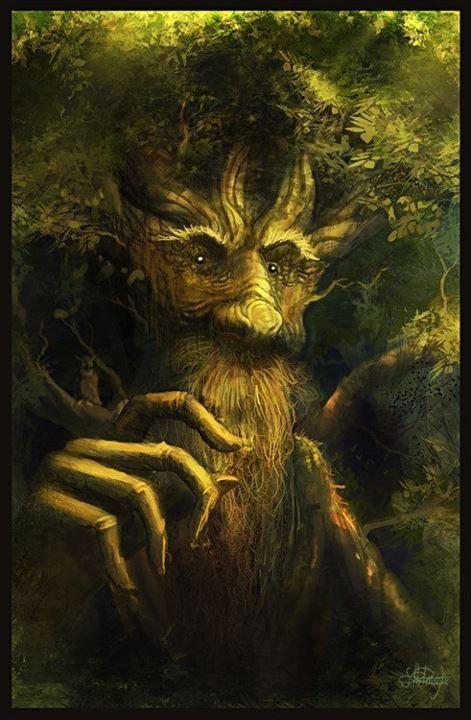 treebeard.jpg.546def29285861891890c4d23d4f1588.jpg