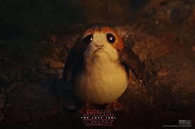 sad porg.jpeg