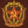 Comrade Cosmonaut