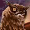 O the Owl