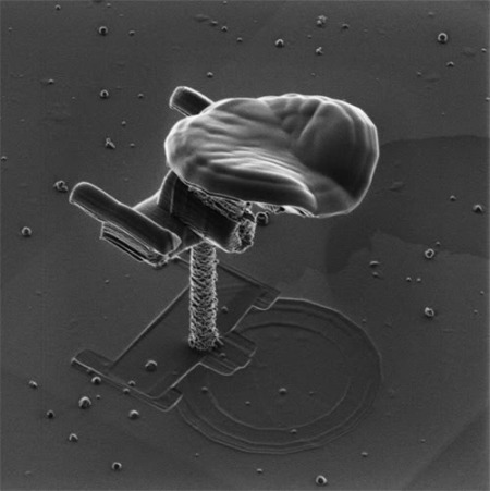 uss-enterprise_ncotb.jpg?w=450