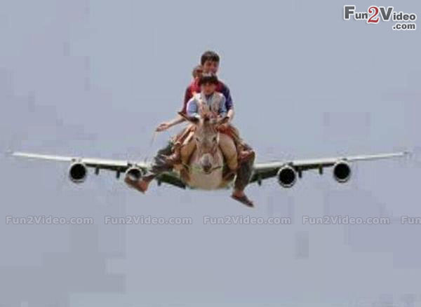 1325347916-funny-airplane.jpg