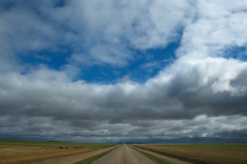 267441683_466449b658.jpg?v=0