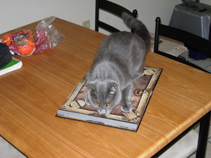 The two primary drives for the Xenos are "mate" and "kill".