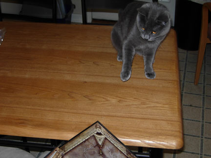 Whoopsie-doodle, or if you're french, le Whoose-Duoxdle.