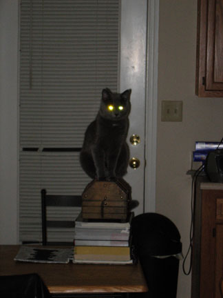 Dark cat ascendant!