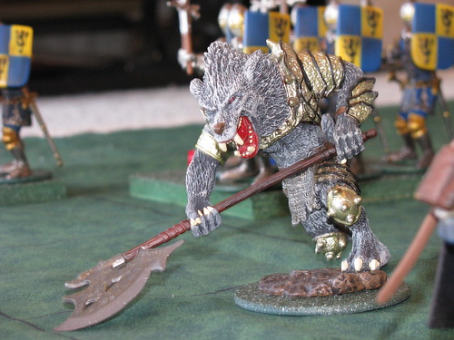 3220118831_63d64fa8fa.jpg?v=0