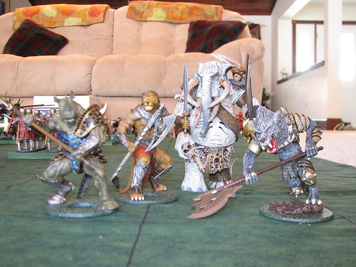 3220118849_fe7509c155.jpg?v=0