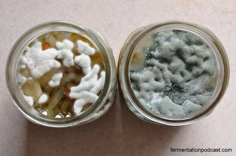 moldy-pickled-peppers-side-by-side.jpg