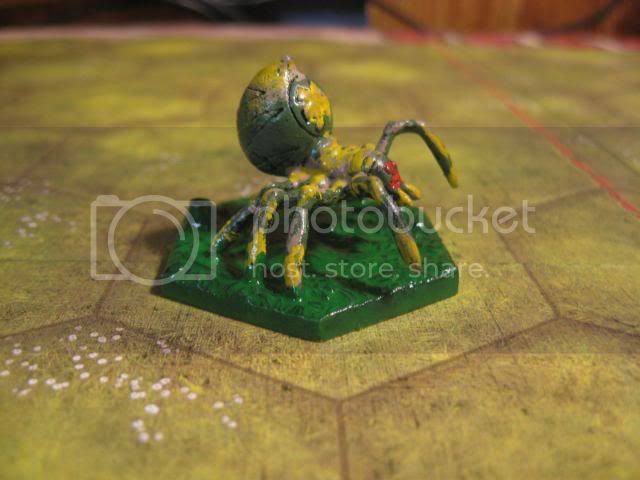 IMG_6769.jpg?t=1227530972