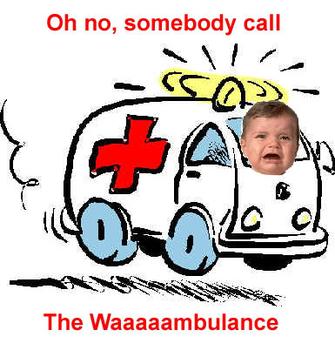 823217931_whaaambulance_answer_2_xlarge.