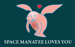 manateeflag.png