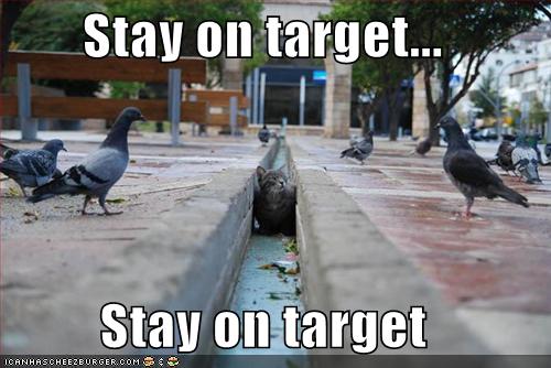 stayontarget1.jpeg