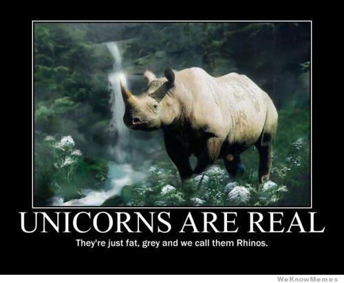unicorns-are-real.jpg