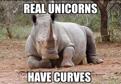 real-unicorns-have-curves-rhino.jpg