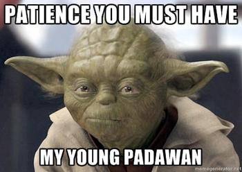 858444369_patience_yoda_answer_11_xlarge