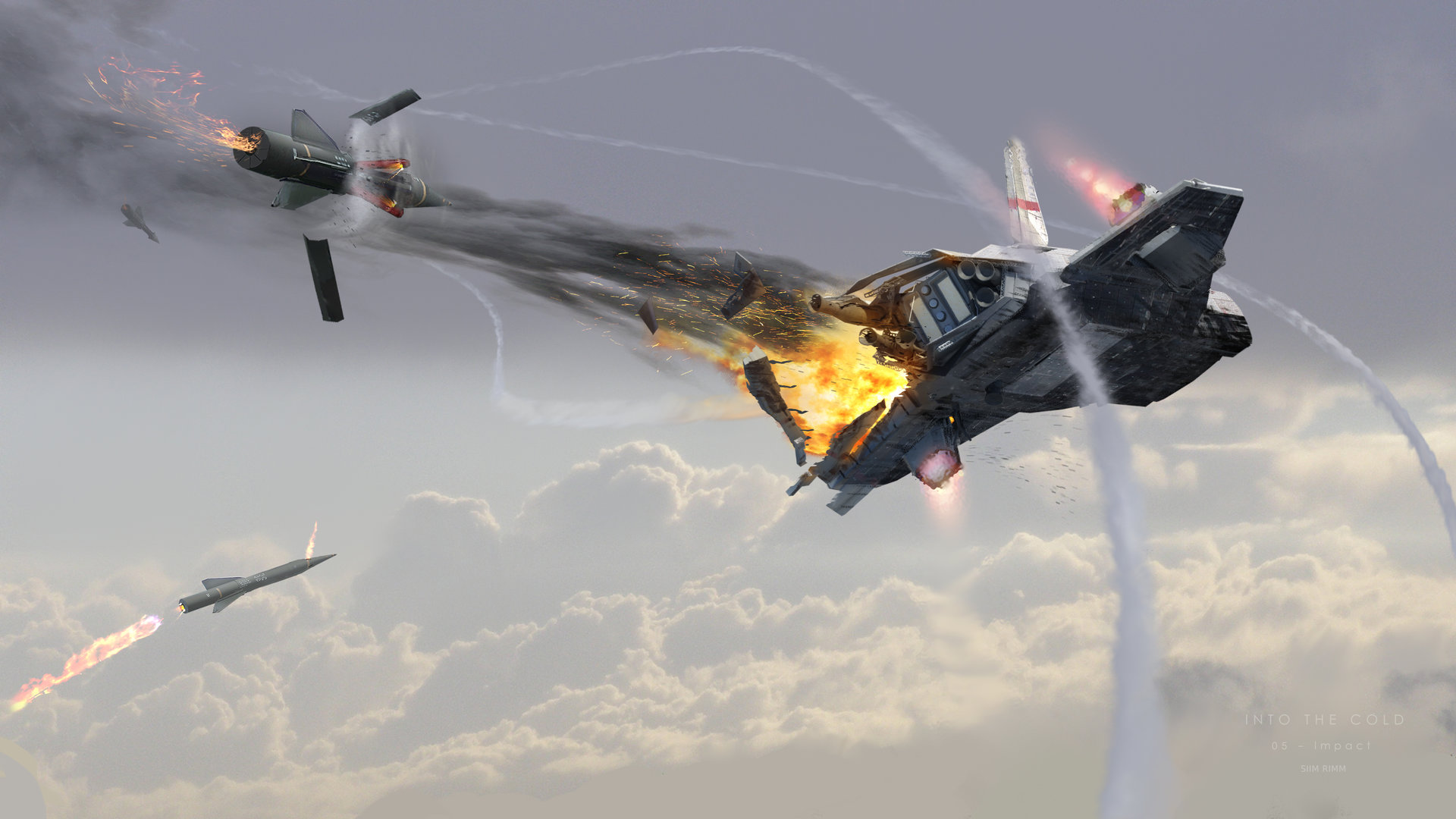 siim-rimm-intothecold-impactv2-05-siimri