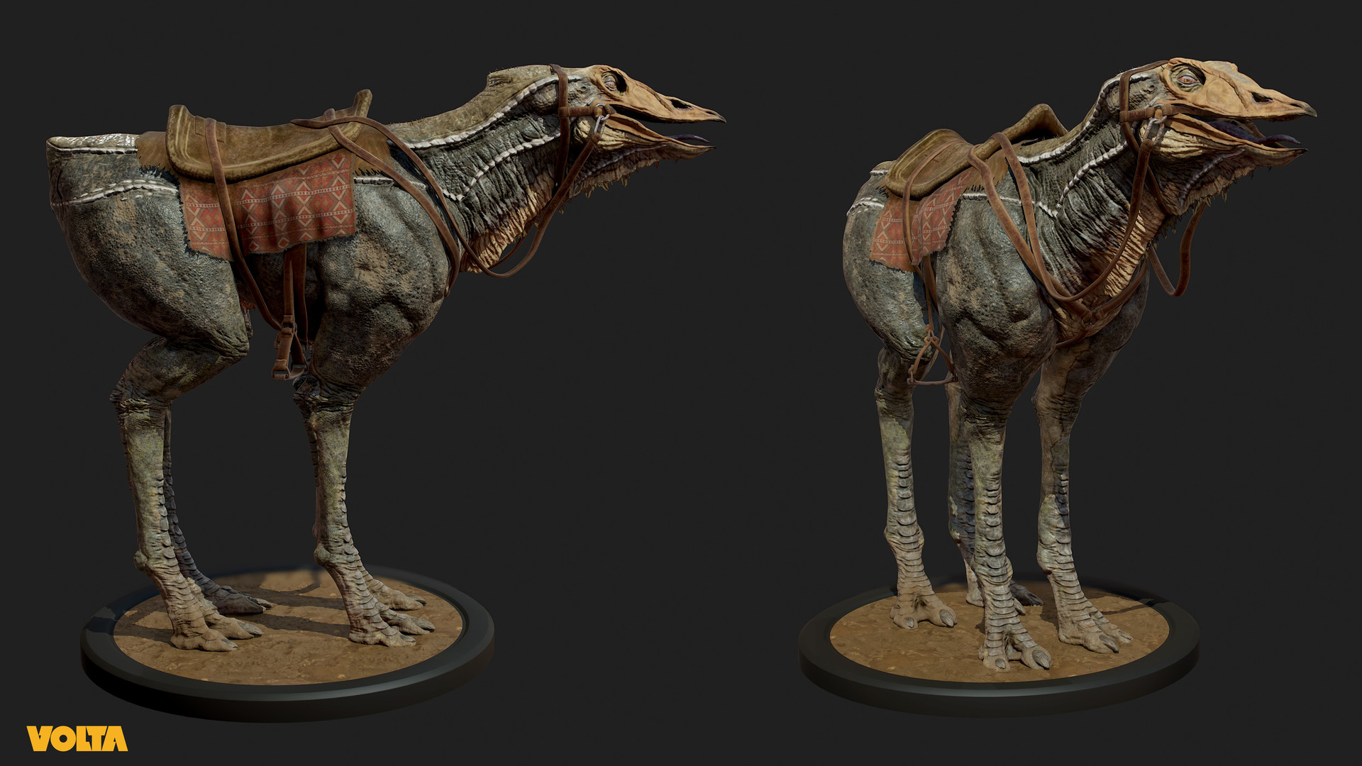 kevin-demuynck-volta02.jpg?1466004841