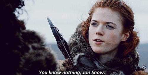 Image result for you know nothing jon snow